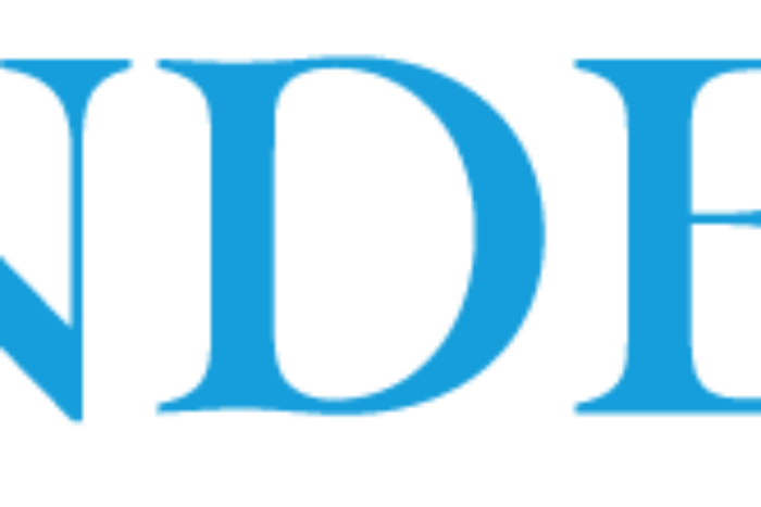 Pinders Logo